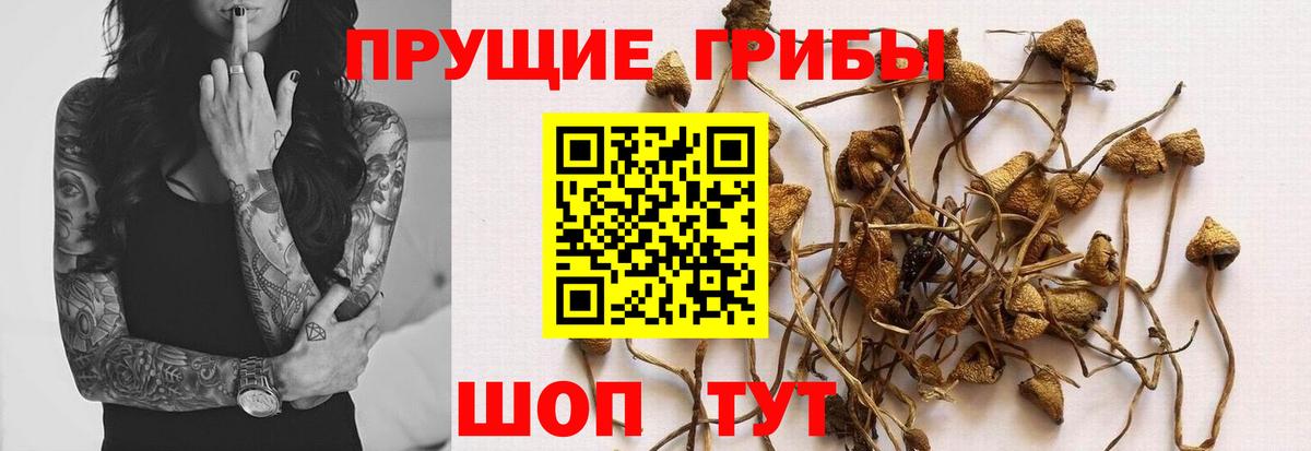 Набережные Челны  Псилоцибиновые грибы мицелий  Вход с VPN 